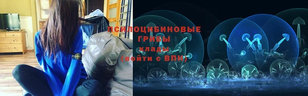 дживик Козельск