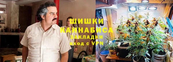 шишки Абинск