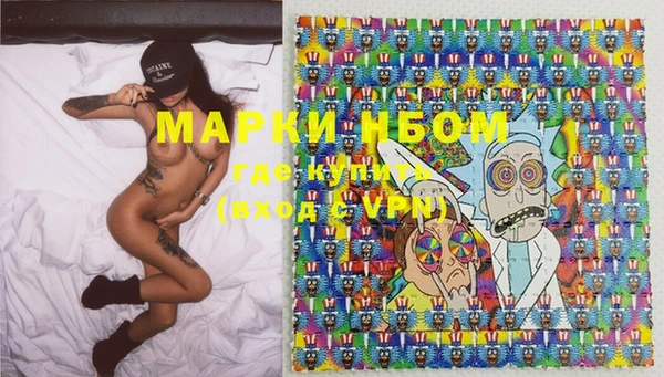дживик Козельск