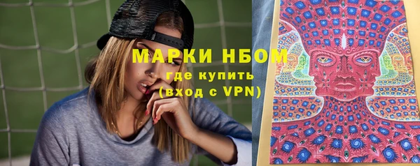 шишки Абинск