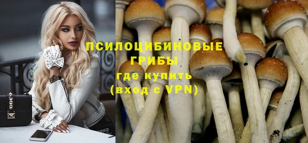 шишки Абинск