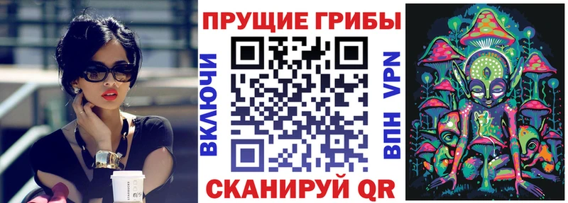 Галлюциногенные грибы ЛСД  продажа наркотиков  МЕГА зеркало  Суоярви 